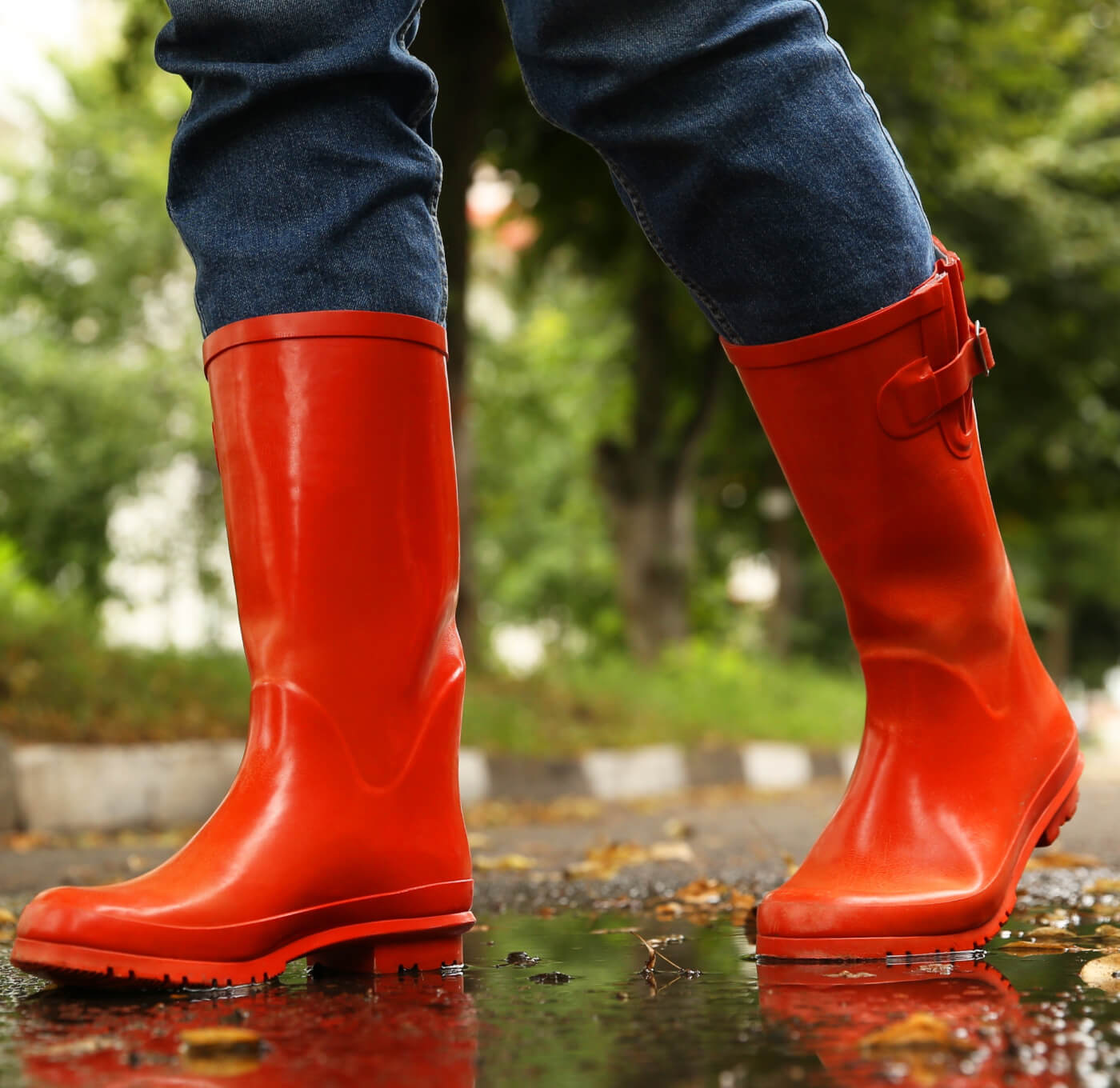 Rubber Accelerations & Activators