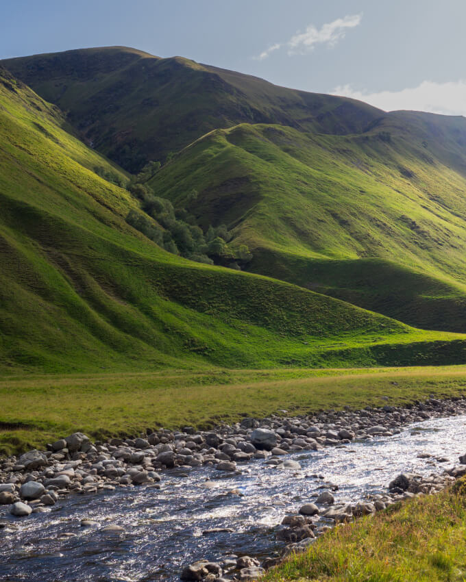 Sustainability with Thomas Swan